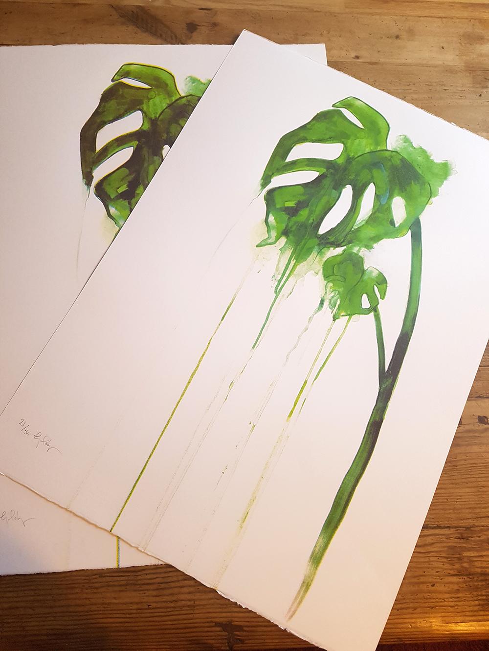 Planta del Queso, Impresión en edición limitada, Serigrafía , Naturaleza, Plano, Monstera - Print de Gavin Dobson
