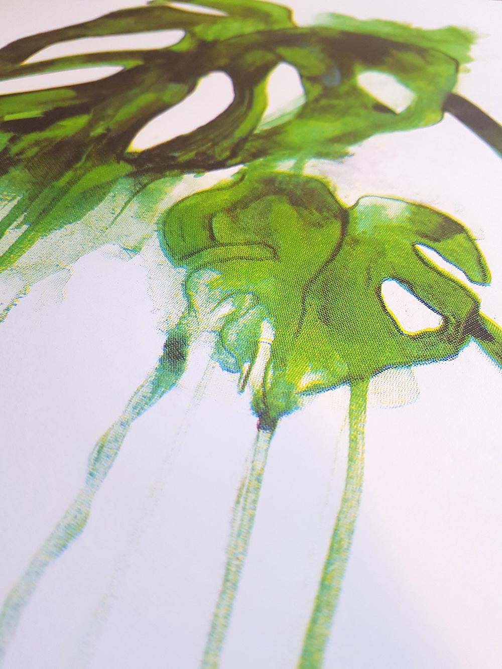 Planta del Queso, Impresión en edición limitada, Serigrafía , Naturaleza, Plano, Monstera - Print Contemporáneo de Gavin Dobson
