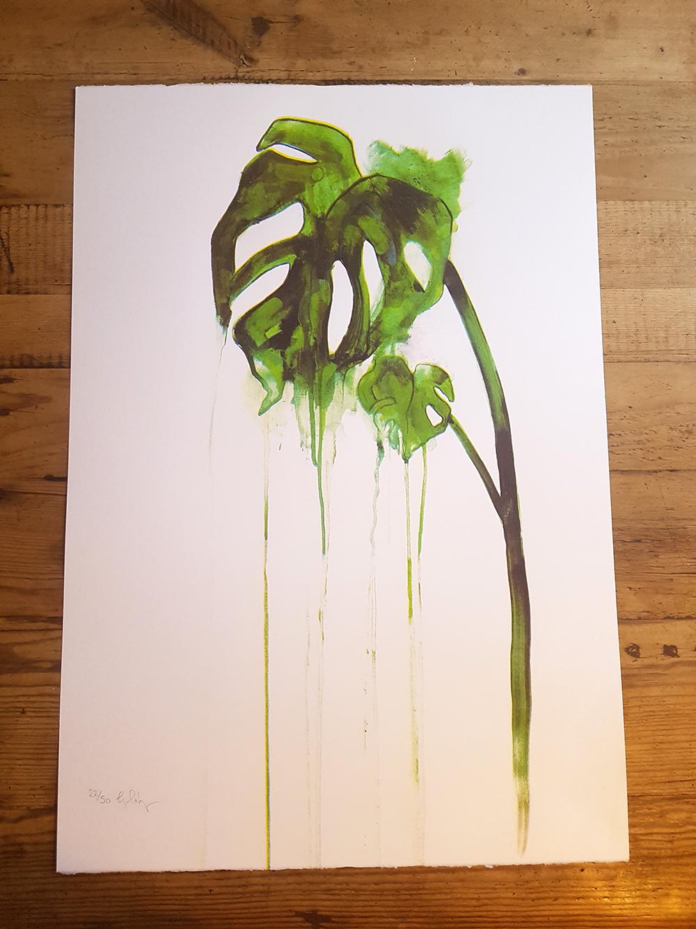 Planta del Queso, Impresión en edición limitada, Serigrafía , Naturaleza, Plano, Monstera - Still-Life Print Verde de Gavin Dobson