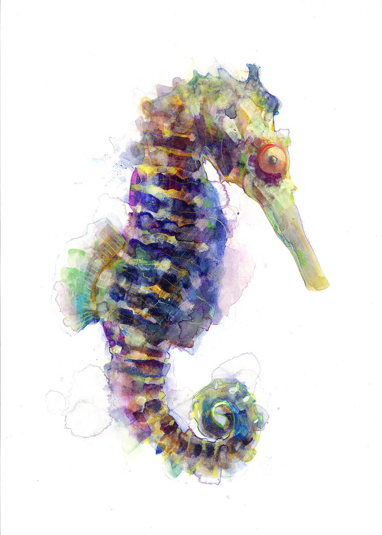 seahorse quotes