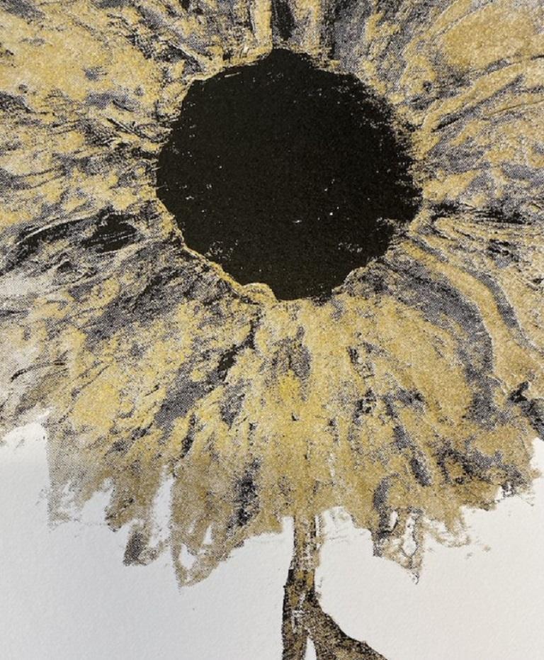 Gavin Dobson, Sunflower Gold, Limited edition floral print For Sale 4