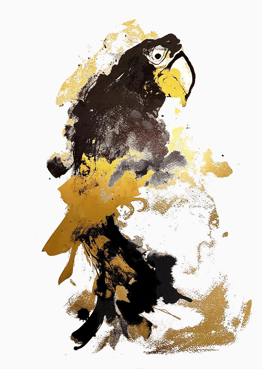 Gavin Dobson Animal Print - Parrot Gold, edition of 50, bird art, affordable art, yellow and black art
