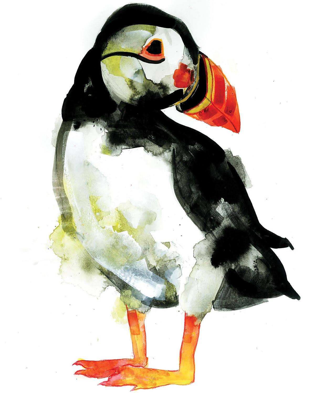 Puffin, Painting by Gavin Dobson
 
Puffin, limited edition silkscreen print
A four layer CYMK elegant and colourful screen print.
Signed 70cm x 50cm on Fabriano paper 310 gsm with a deckled edge.
 
Additional information:
Edition of 100.
Signed and