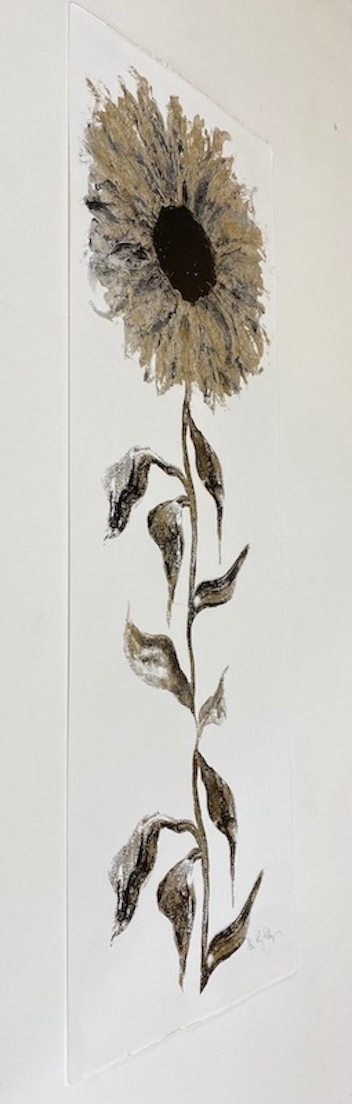 Girasol dorado, Impresión en edición limitada, Paisaje, Impresión de flores, Girasol - Still-Life Print Gris de Gavin Dobson