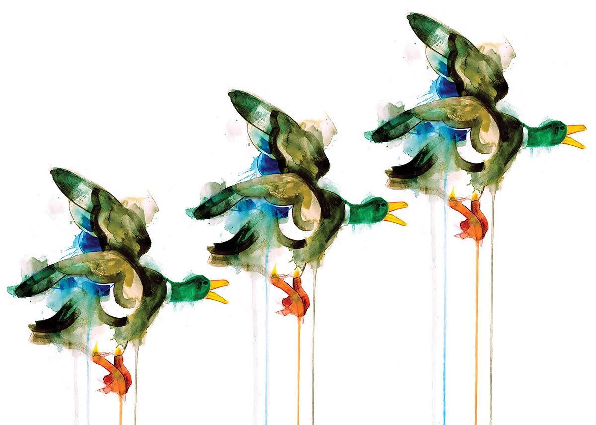 Three Flying Ducks, Print by Gavin Dobson