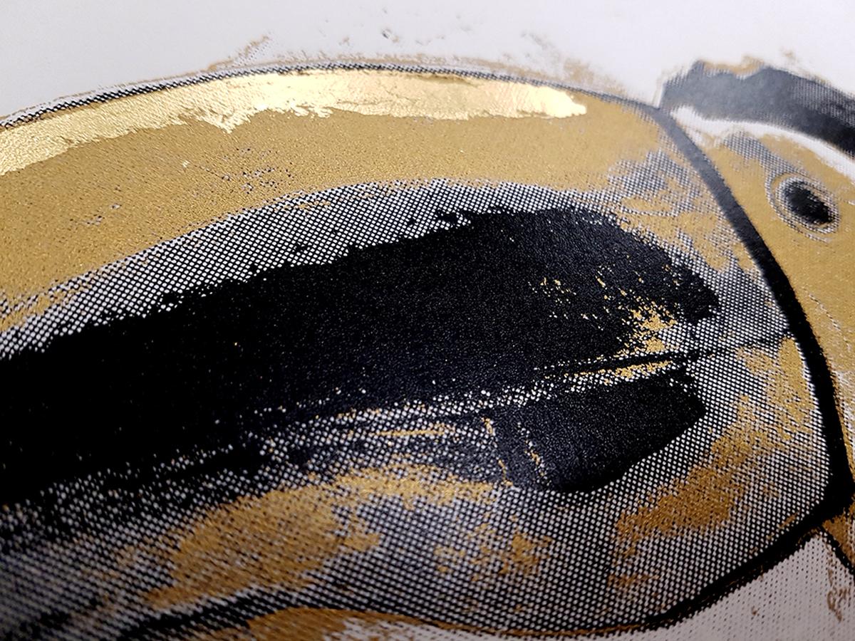 Toucan Gold, Limited Edition Silkscreen Print, Bird Art, AnimalArt 2