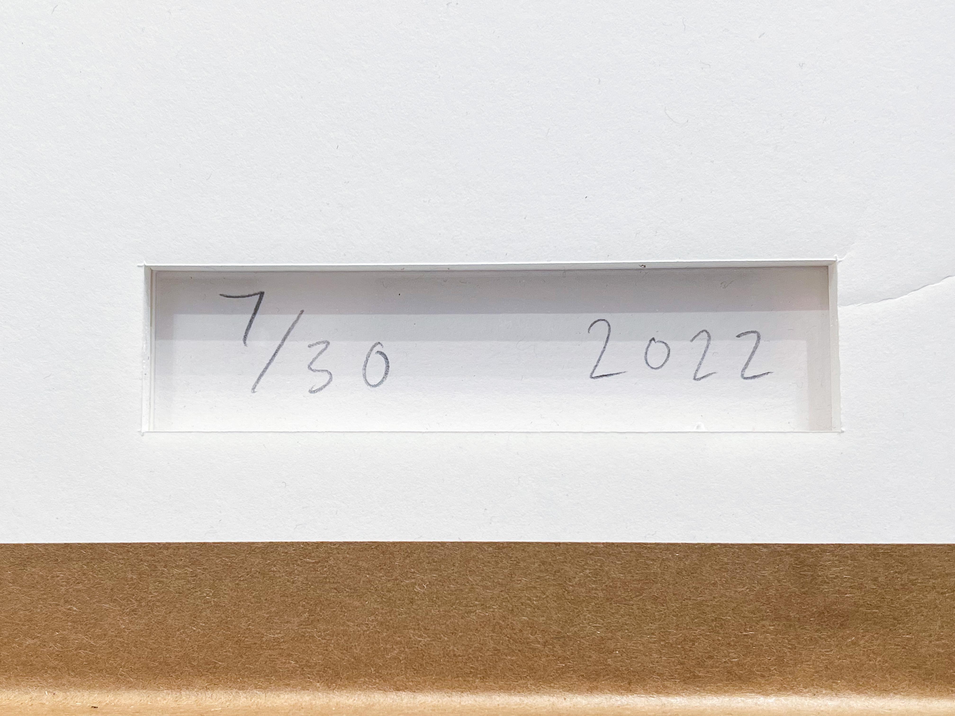 Stampa d'archivio pop art, 'Blue Trash', 2022 in vendita 2