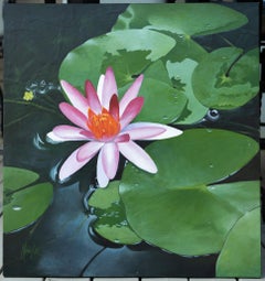 Lily Pad Flower