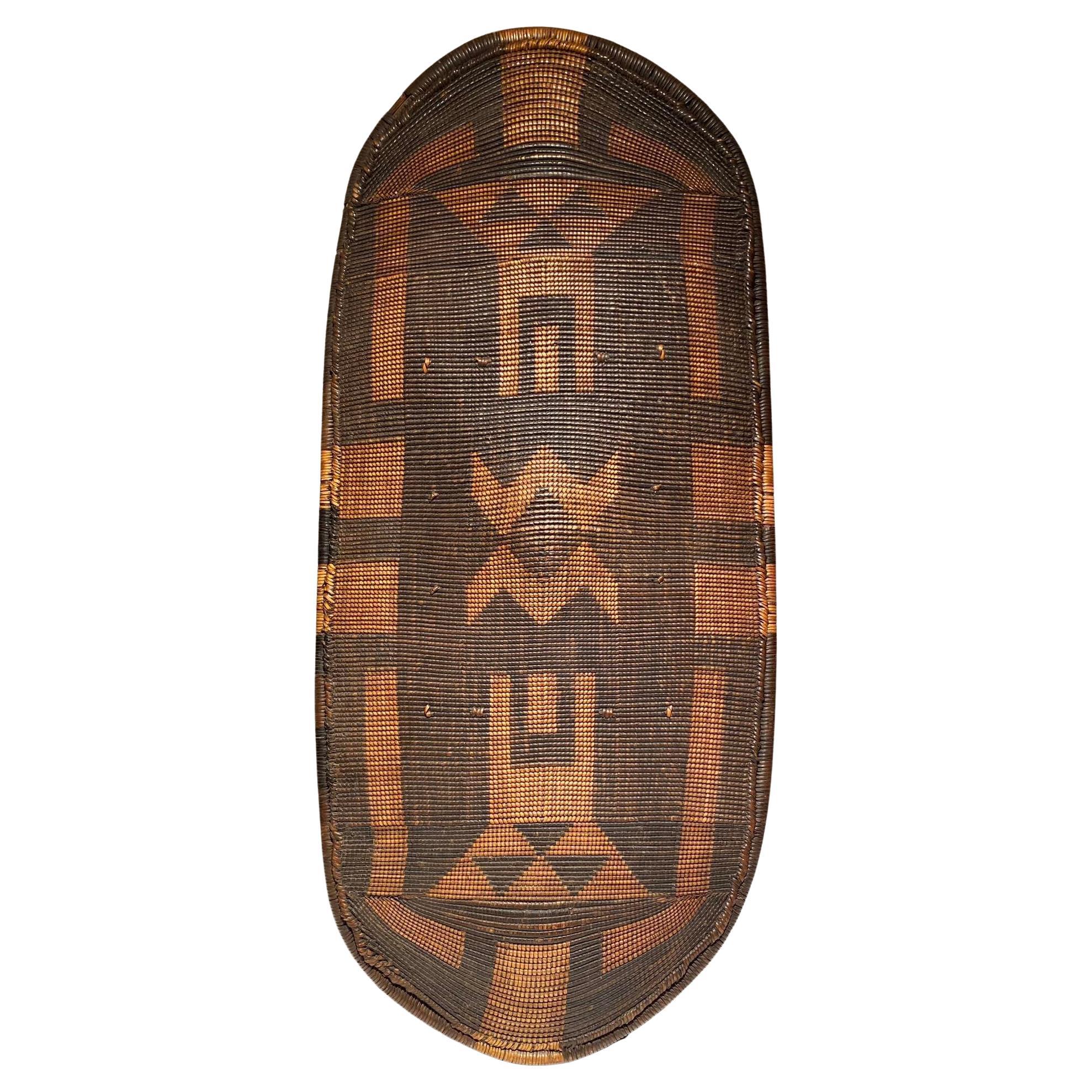 Gbilija Zande tribe Shield - Nzakara - Dr Congo - 19th Century - African Art For Sale