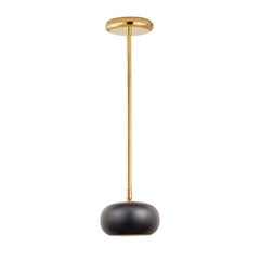 Gea Brass Spotlight with Black Lampshade Pendant