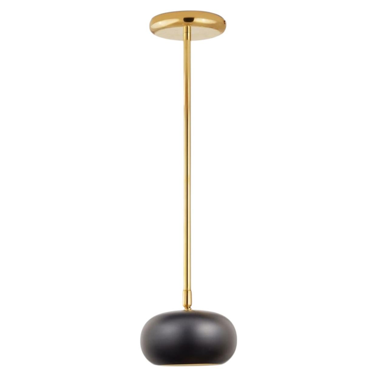 Gea Brass Spotlight with Black Lampshade Pendant