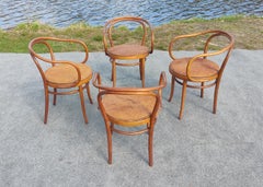 Gebrüder Thonet for Stendig Model 209 Bentwood Chairs with Rare Cowhide Seats