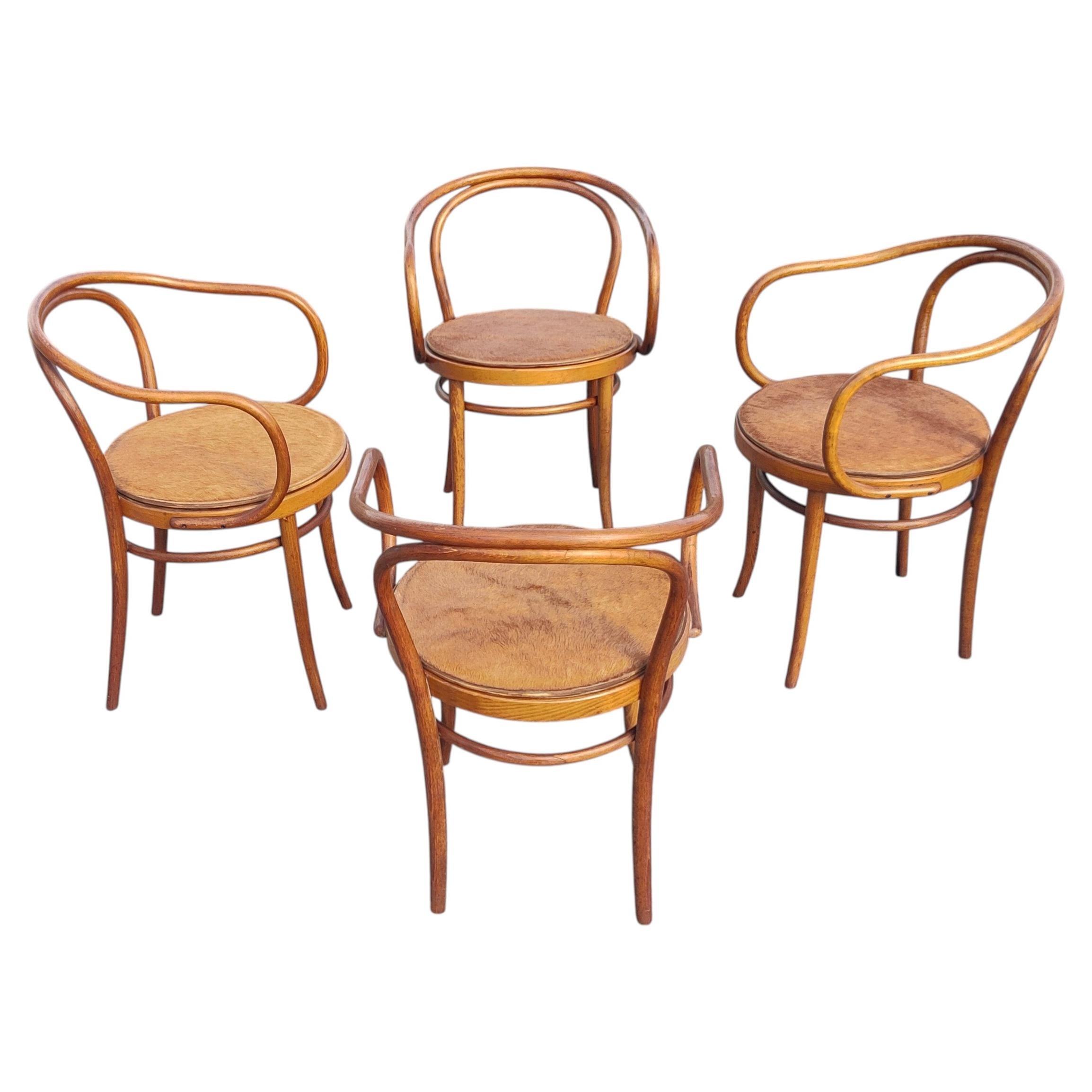 Gebrüder Thonet für Stendig Model No. 209 Bugholzstühle mit seltenen Sitzflächen aus Rindsleder