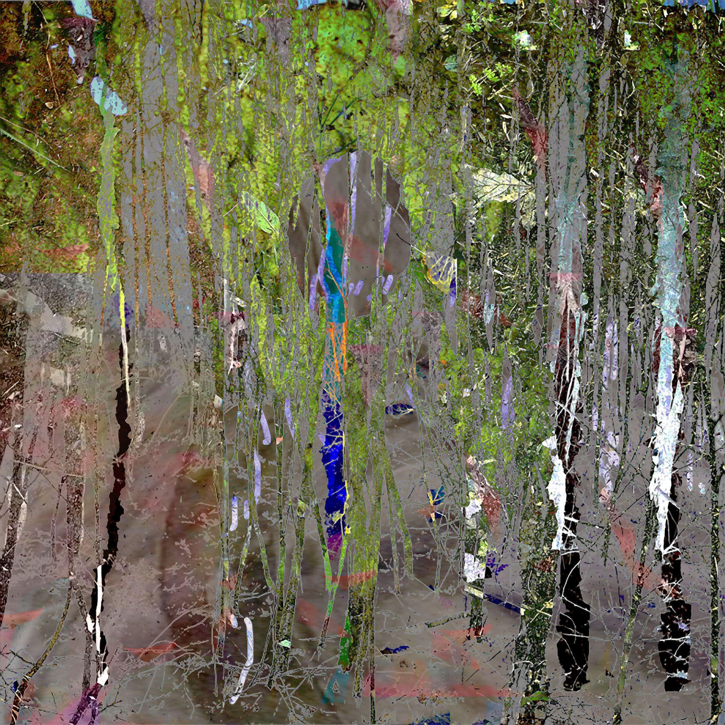Geert Lemmers Color Photograph - Abstract Garden Opus II, Photograph, C-Type