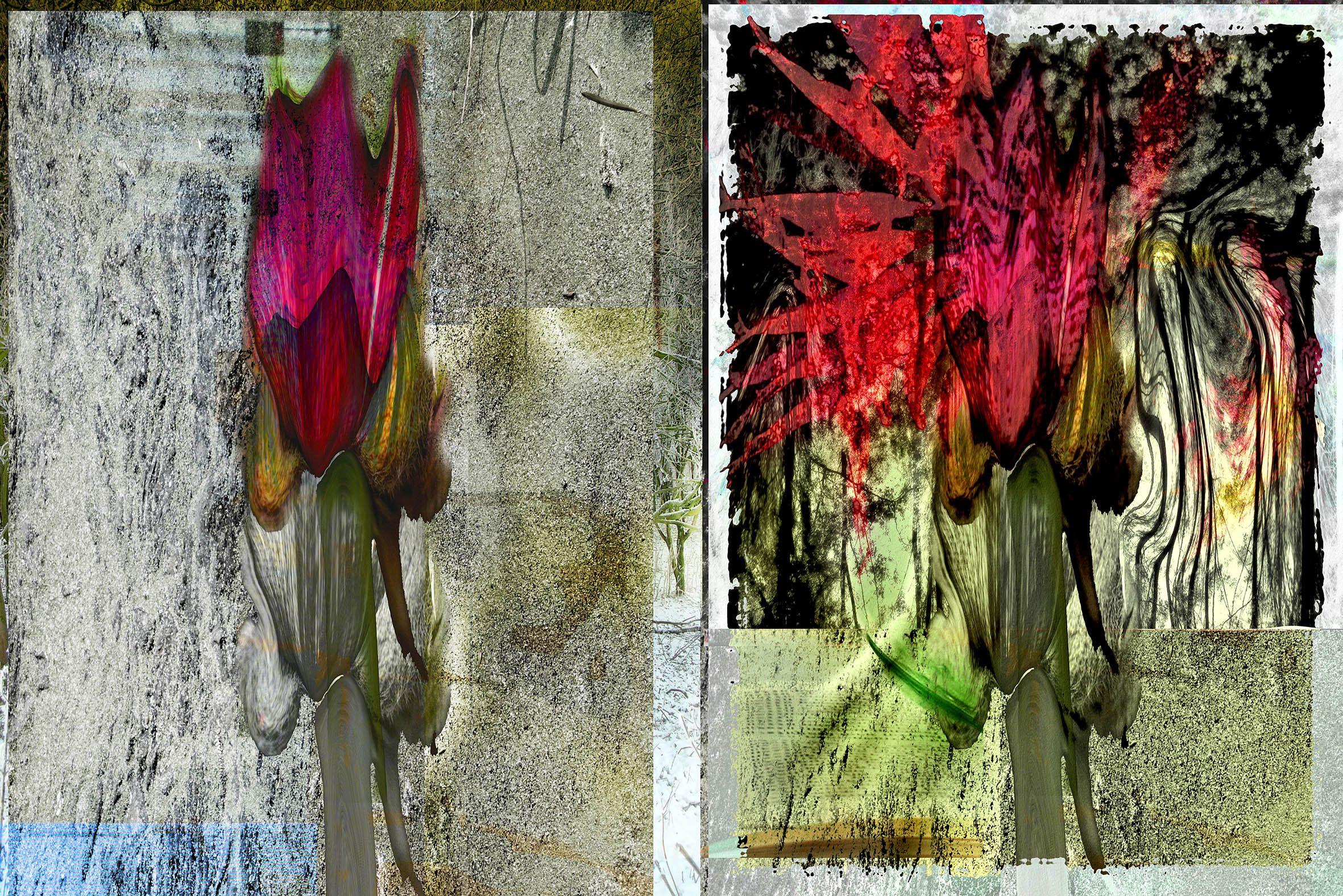 Color Photograph Geert Lemmers - nature abstraite Opus I, Photographie, C.C.
