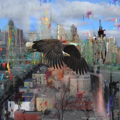 Cityscape with distrustful bird, Photograph, C-Type