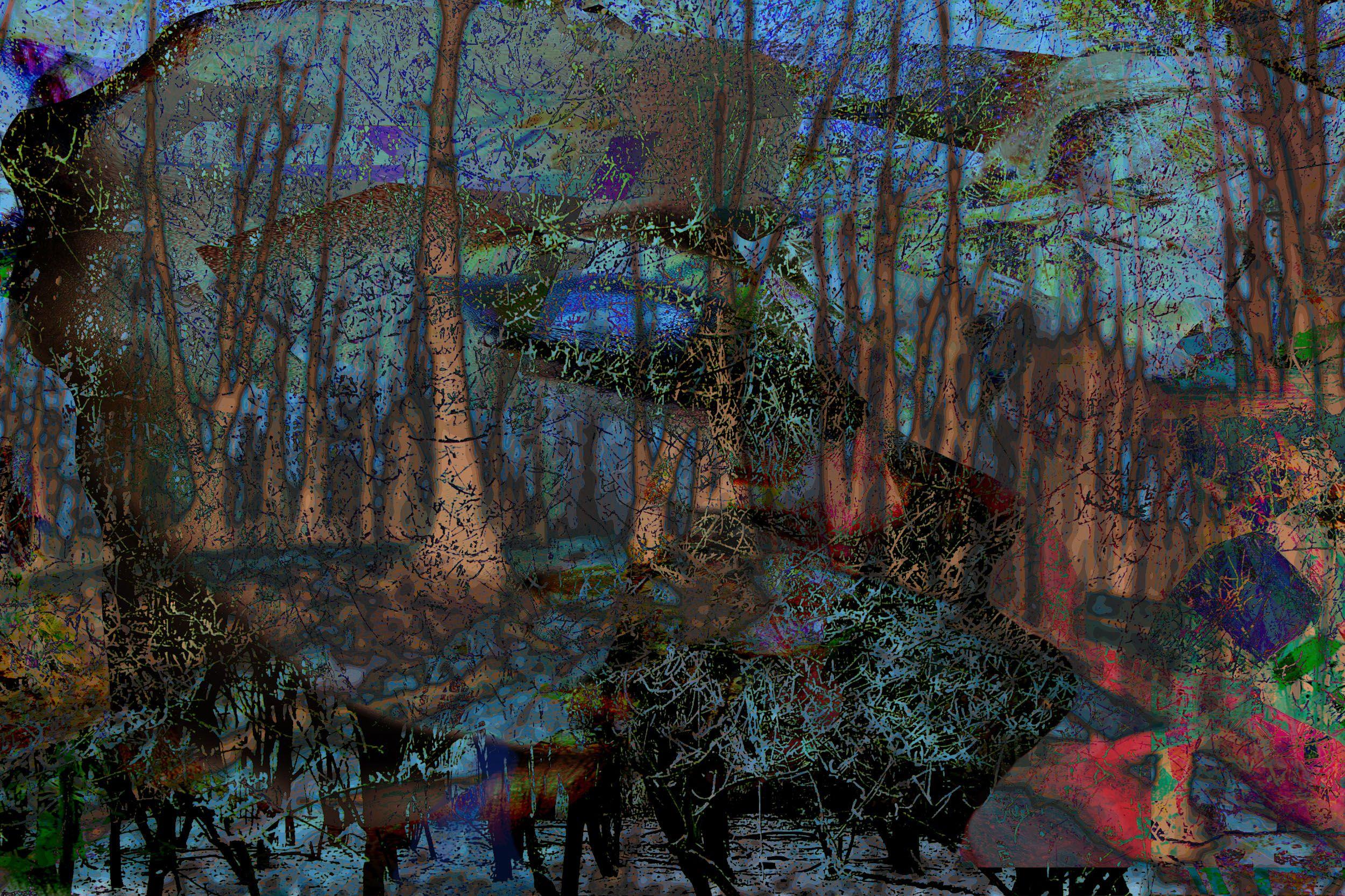 Geert Lemmers Color Photograph – Dreamland Forrest Opus 1, Fotografie, C-Typ