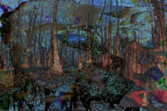 Dreamland Forrest opus 1, Photograph, C-Type