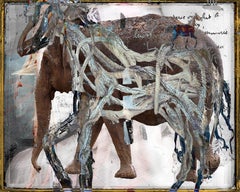 Field of honor for disappeared species, Photograph, C-Type