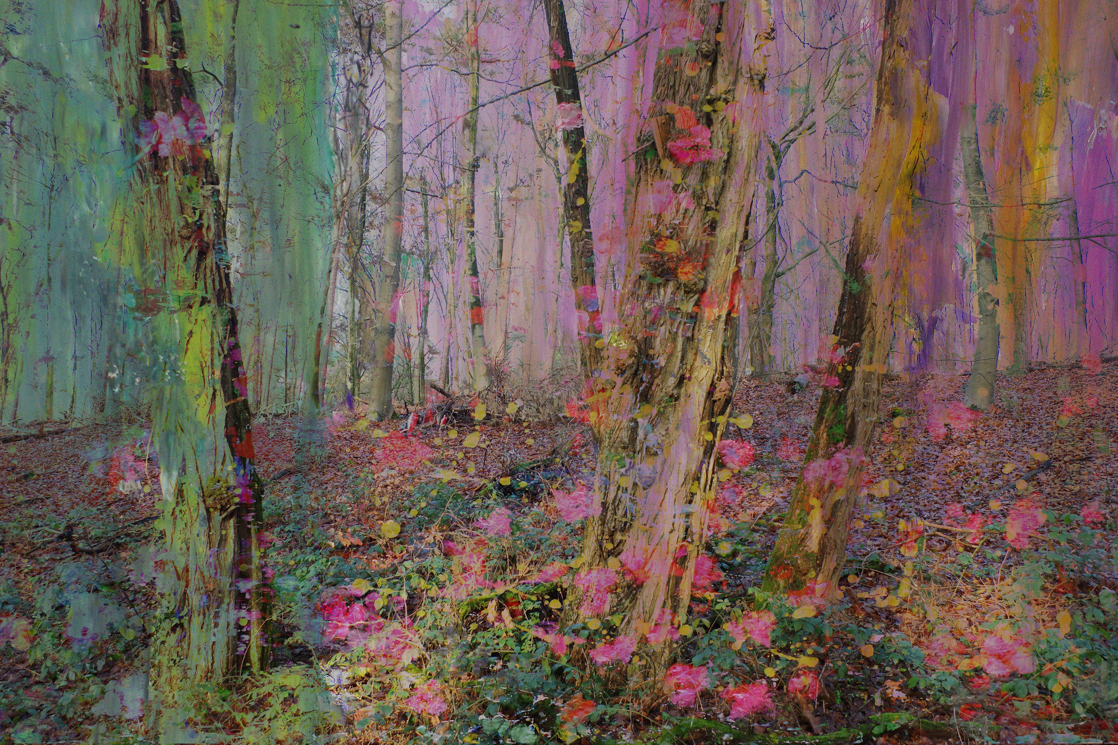 Geert Lemmers Color Photograph – Magical nature opus 90, Fotografie, C-Typ