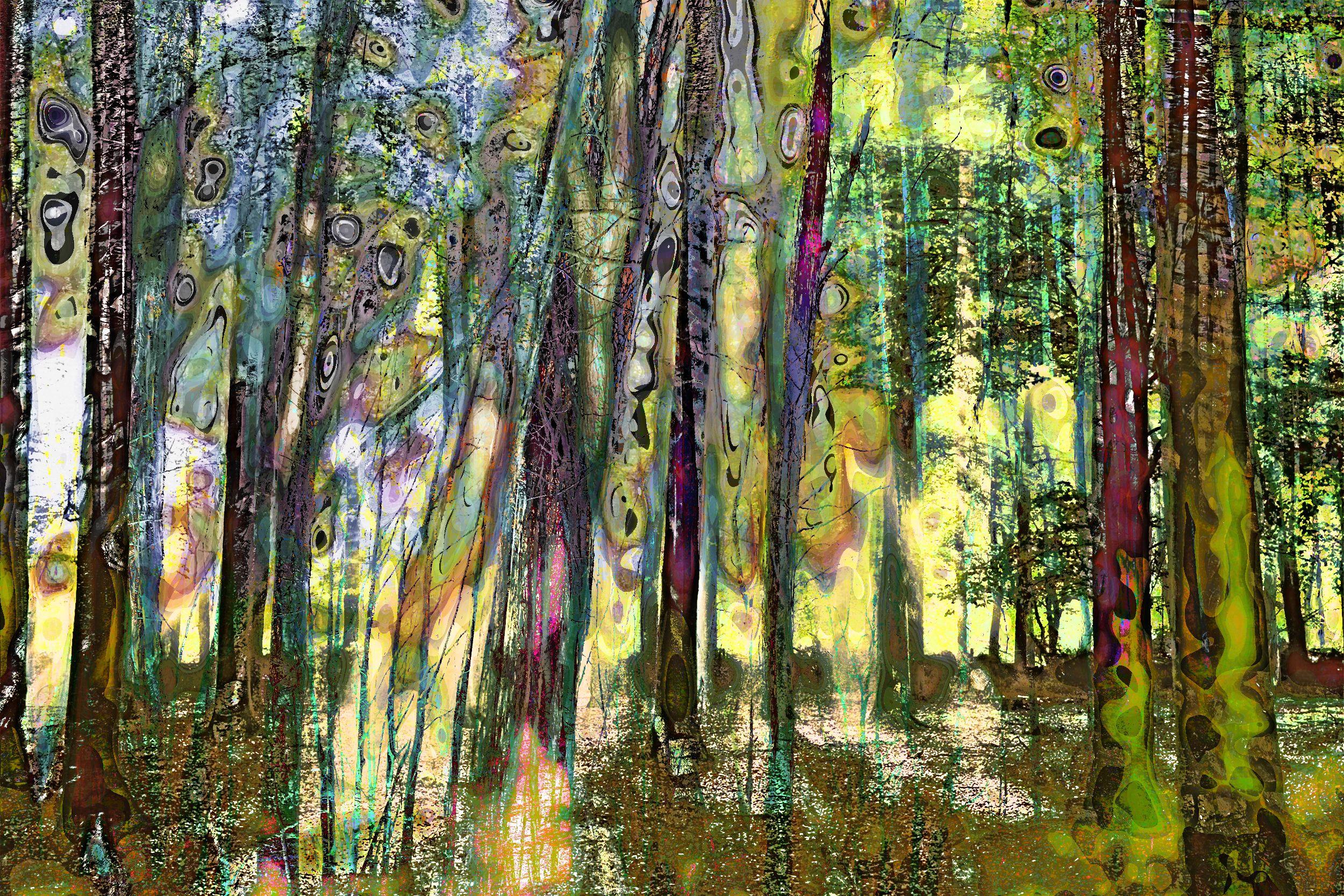 Geert Lemmers Color Photograph – Mysteryrious Forrest opus 17, Fotografie, C-Typ