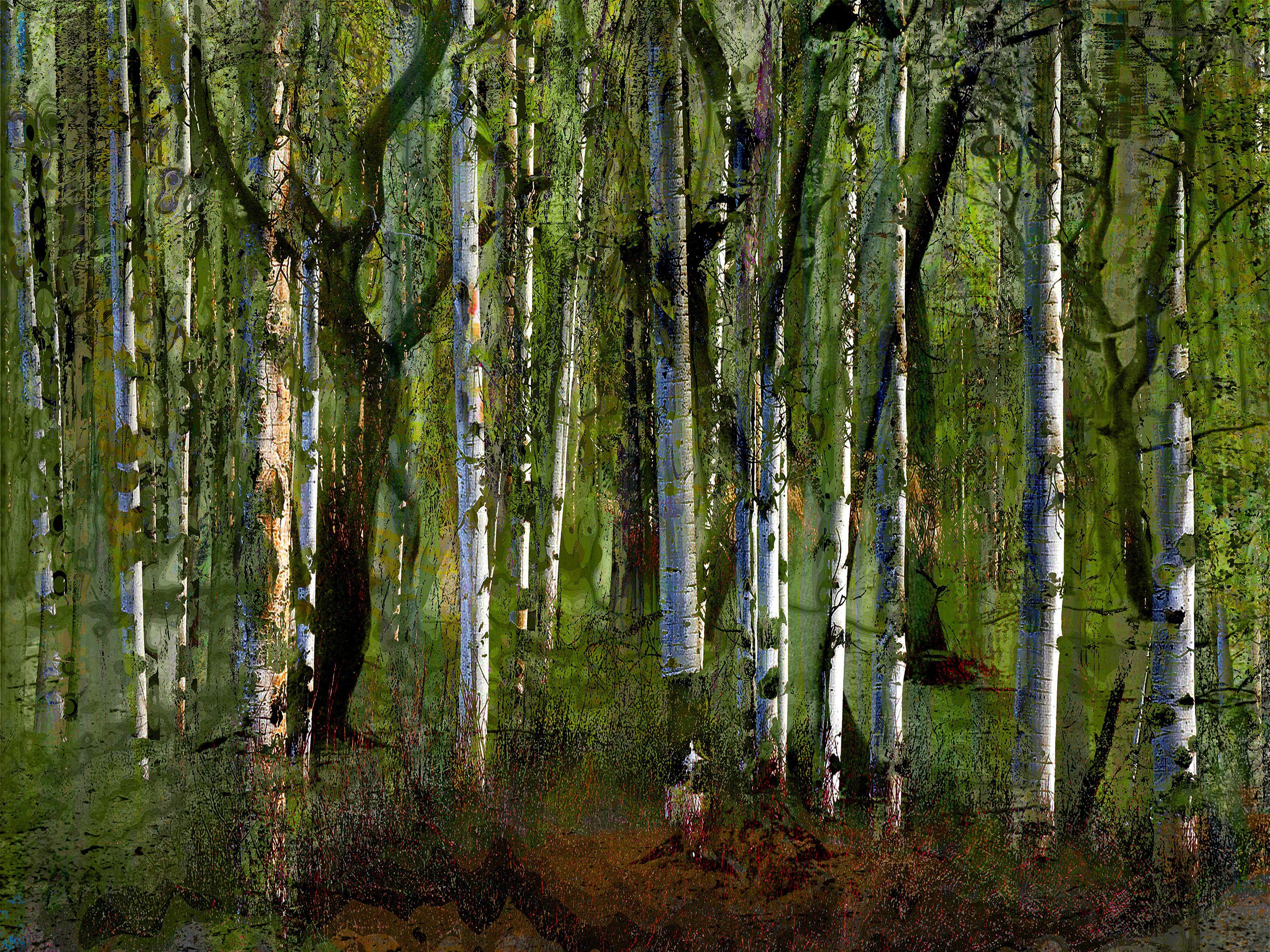 Geert Lemmers Color Photograph - Mystifying Forrest I, Photograph, C-Type