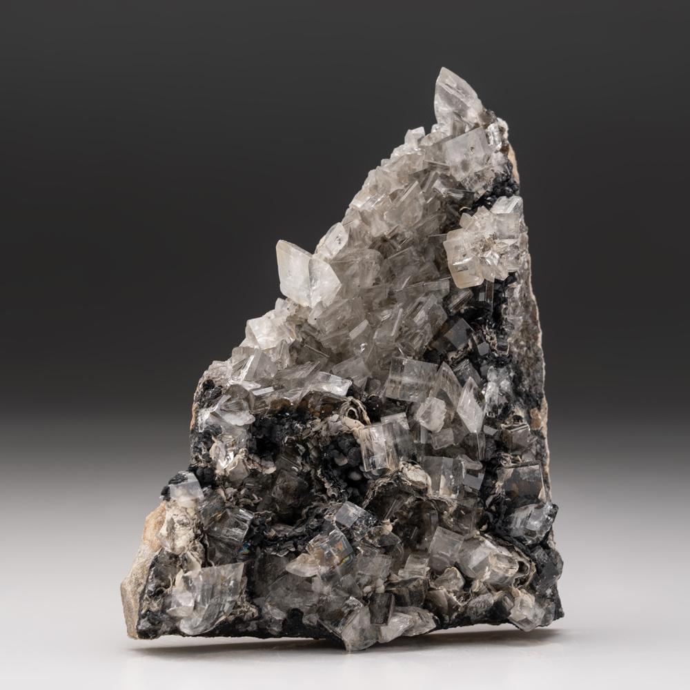 Superbes cristaux de barytine cunéiformes et transparents à l'eau recouvrant une face de la matrice de couleur beige. Les cristaux de barytine se sont formés sur un minéral d'oxyde noir botryoïdal, qui est également inclus dans les cristaux de