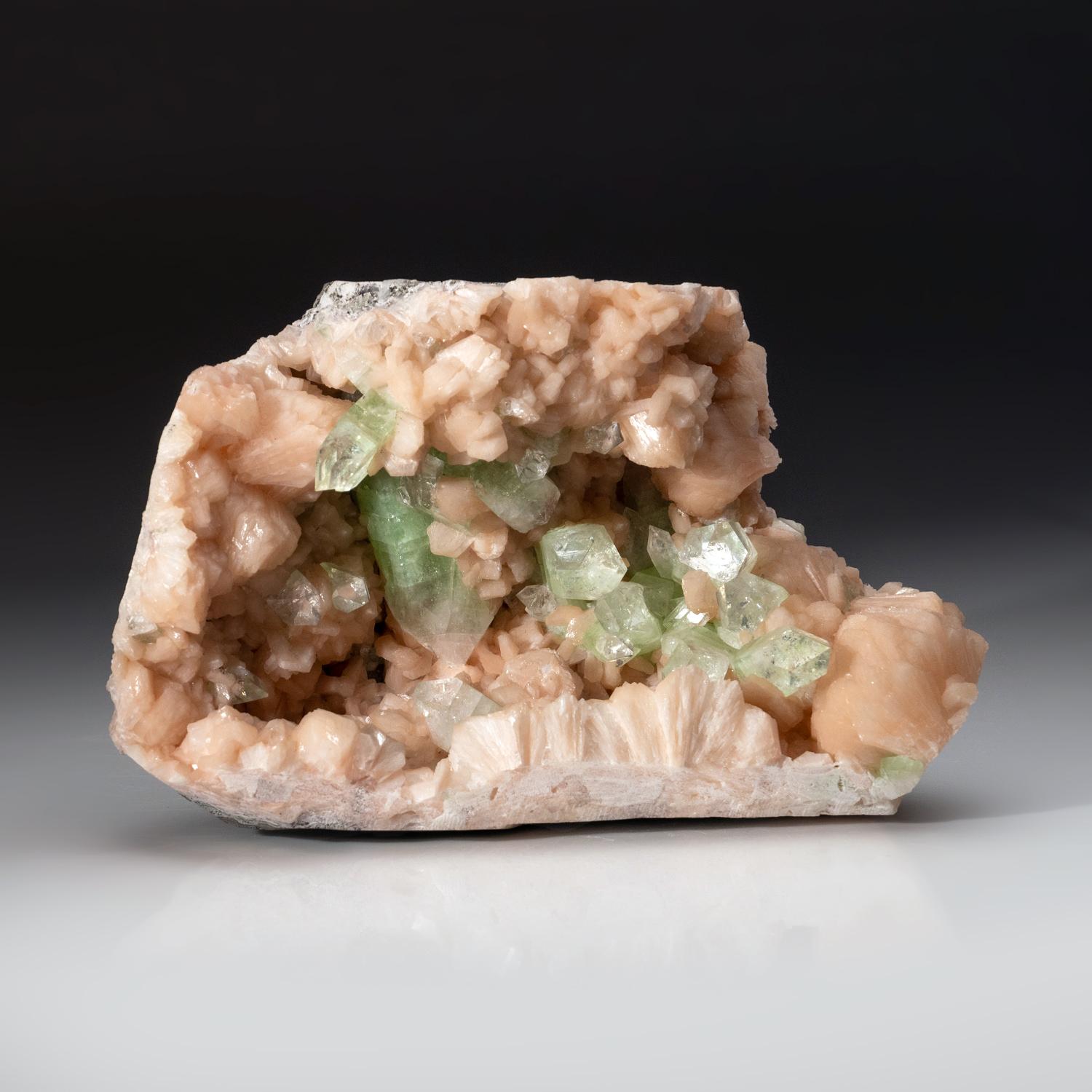 From Jalgaon, Aurangabad District, Maharastra, India

Exceptional formation of vivid green apophyllite crystals on matrix with large pink stilbite crystals in a wheat sheave formation. The apophyllite crystals are terminated with sharp edges and a