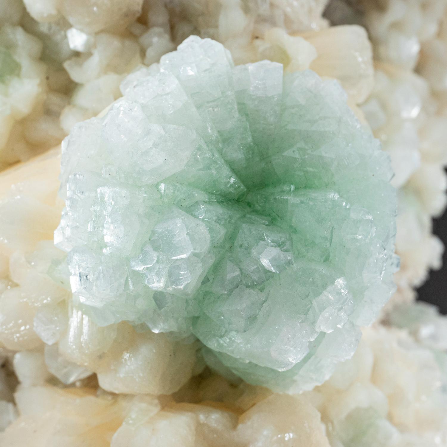 Gem Green Apophyllite with Stilbite from Maharashtra, India In Excellent Condition For Sale In New York, NY