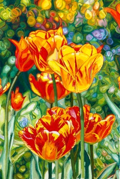 "Ablaze" leuchtend orange und gelbe Tulpen blühen in einem Garten, Blüten, floral