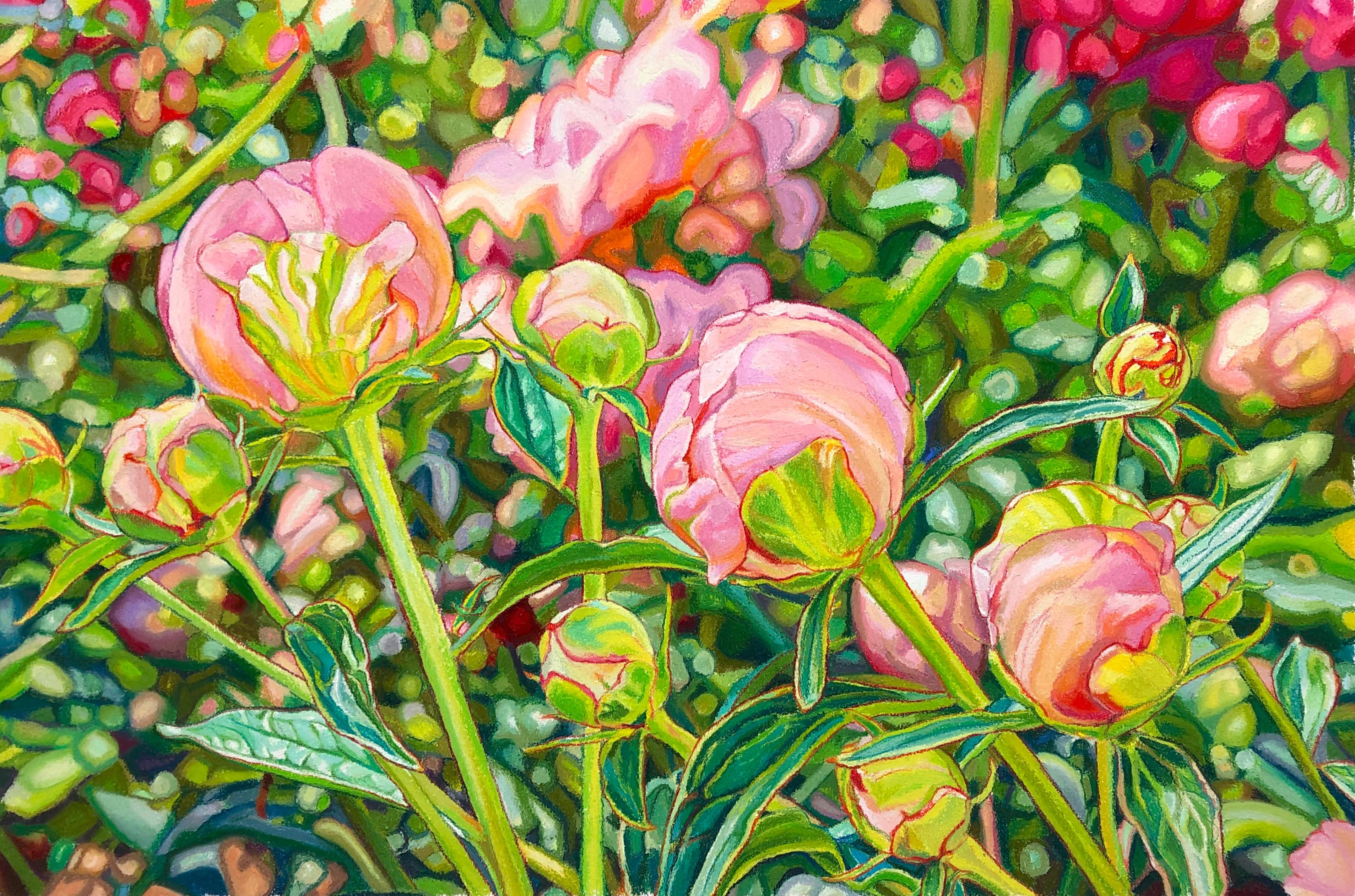 Fiori rosa "Confetti" in procinto di sbocciare, steli verdi, giardino vibrante, floreale