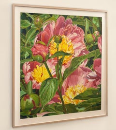 "Up&Up" primo piano di un fiore di aster rosa intenso che cresce in un giardino verde