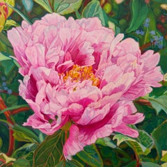 "Inferno", pink peony still life, lush, vibrant, floral, full bloom in the sun