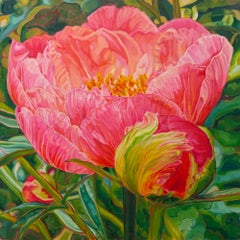 "Orbit", pink peony, tightly wound energetic bud, life cycle, springtime, sunny