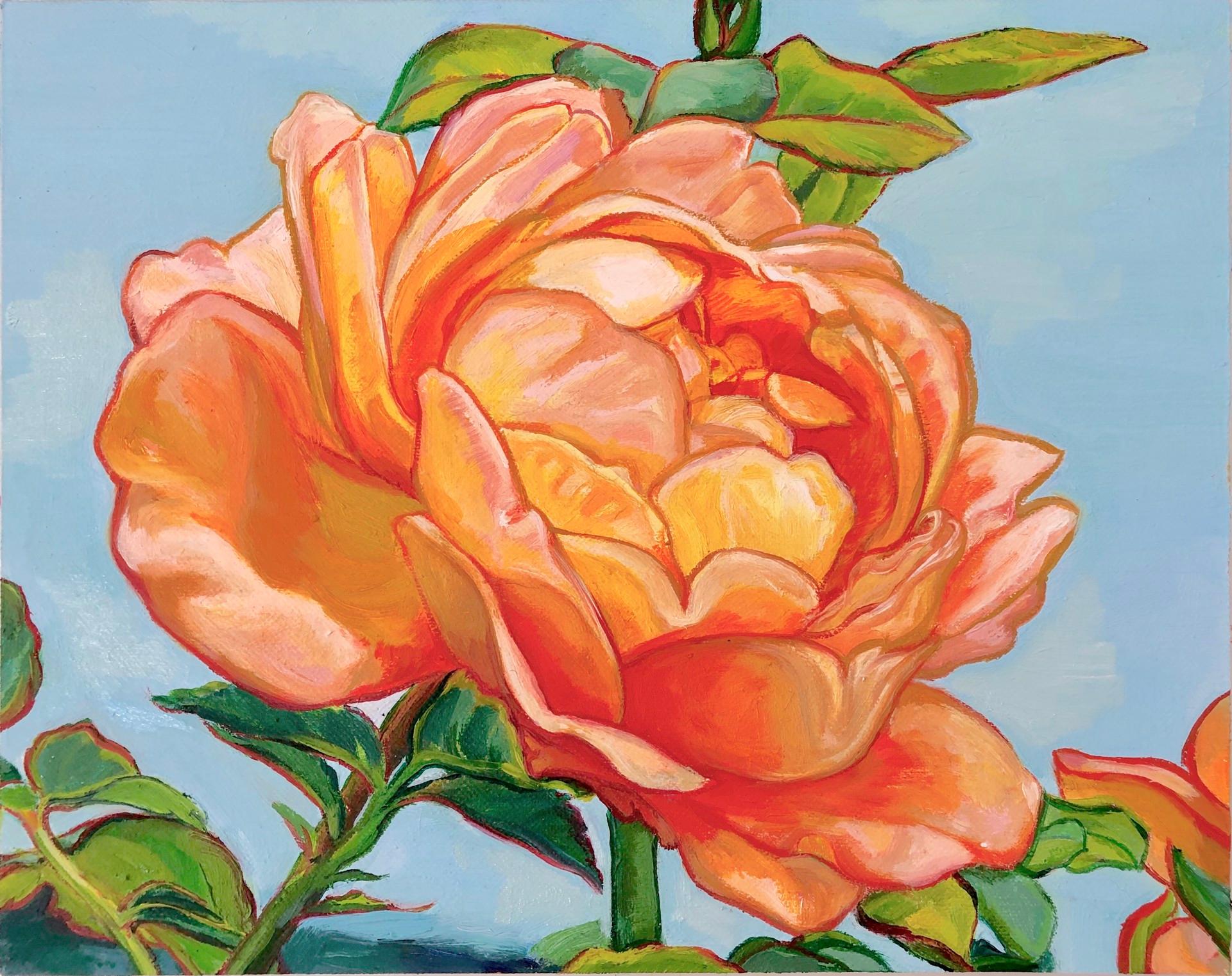 Arose