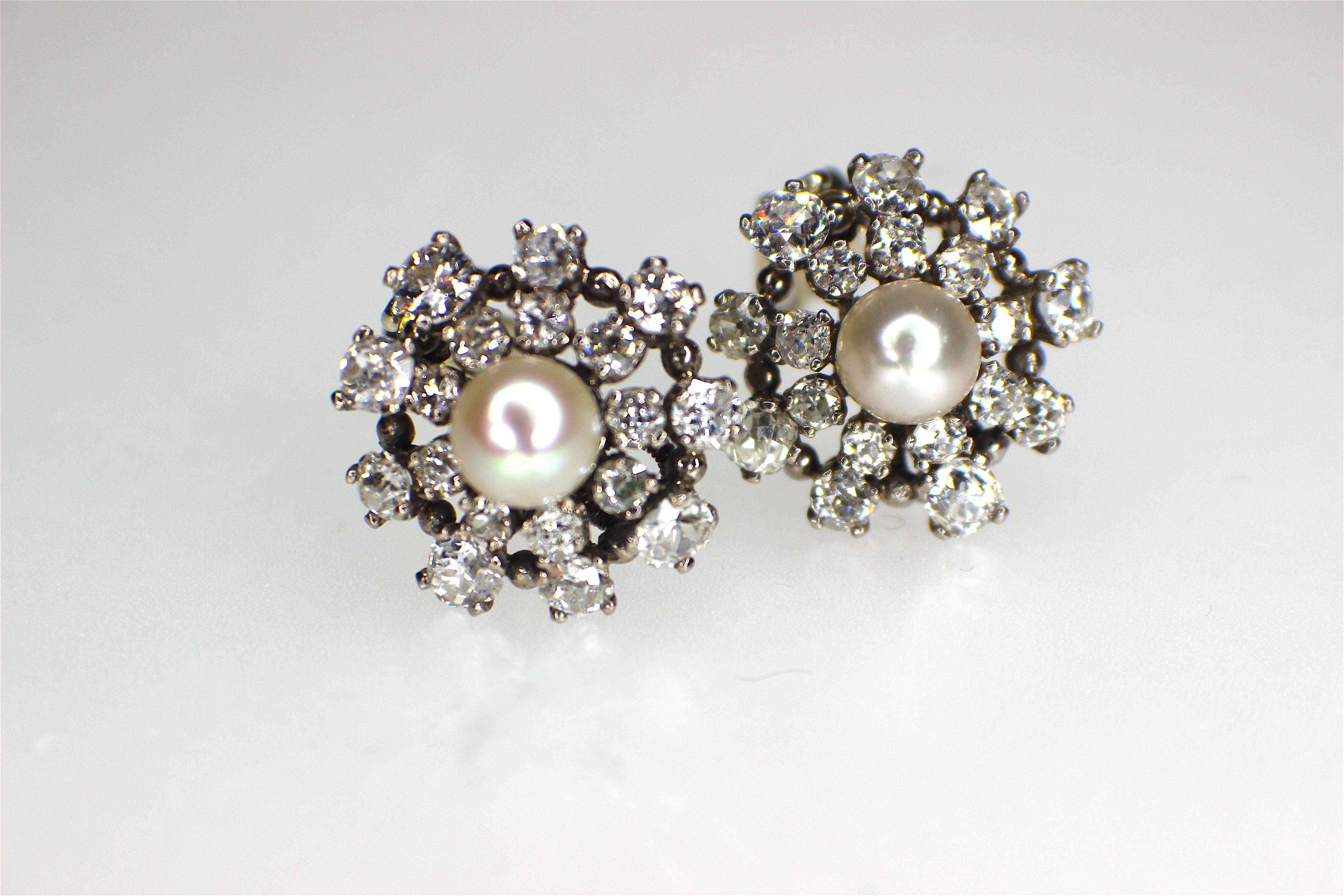 Ein schönes Paar Ohrringe aus Platin mit natürlichen Perlen und Diamanten, ca. 1950. Perlenbericht #10975, der besagt, dass es sich um natürliche Salzwasserperlen mit den Maßen 7,0x6,2 mm und 6,8-6,9x6,2 mm handelt