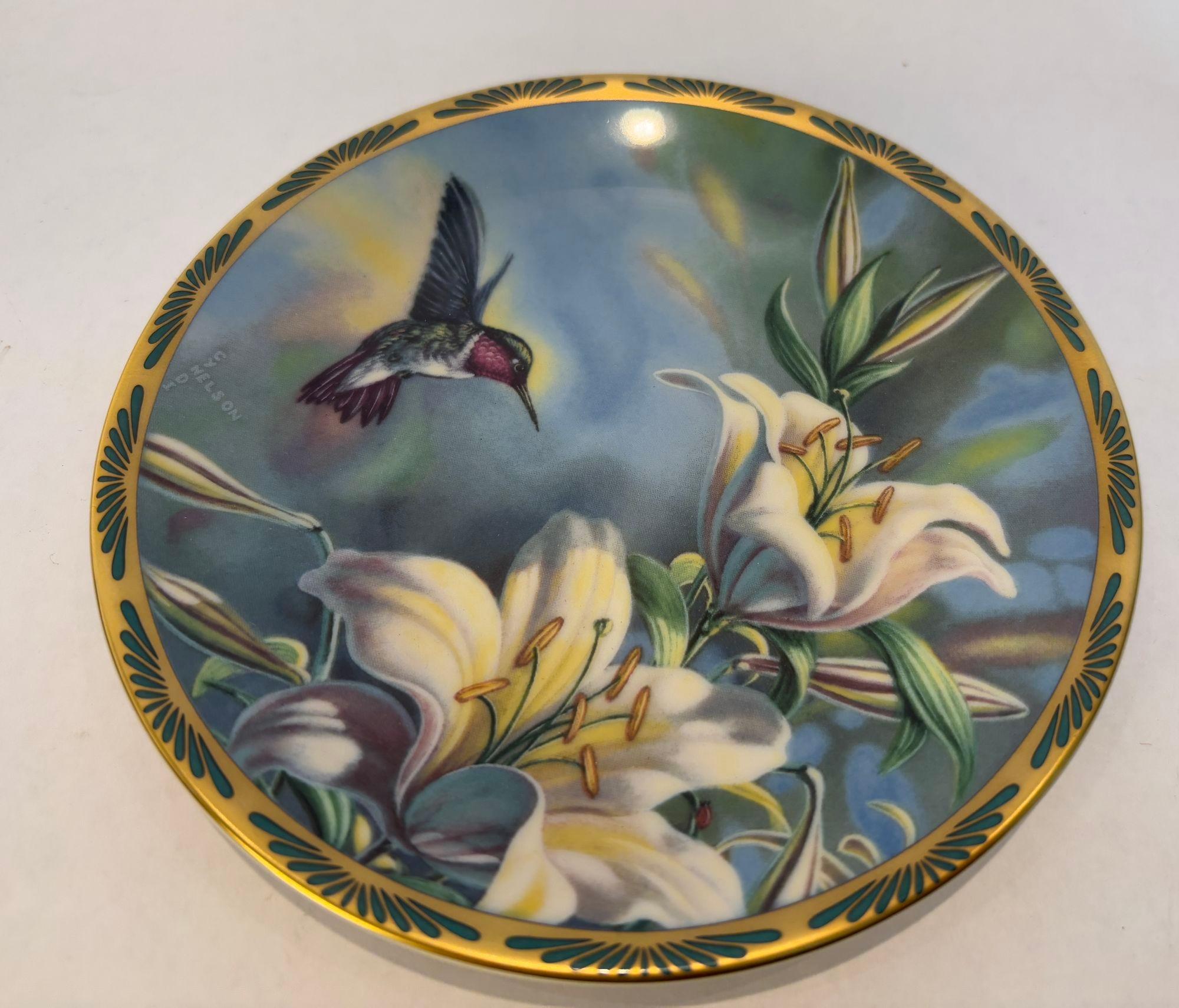 Gemme della Nature I bellissimi colibrì di Cyndi Nelson in vendita 1
