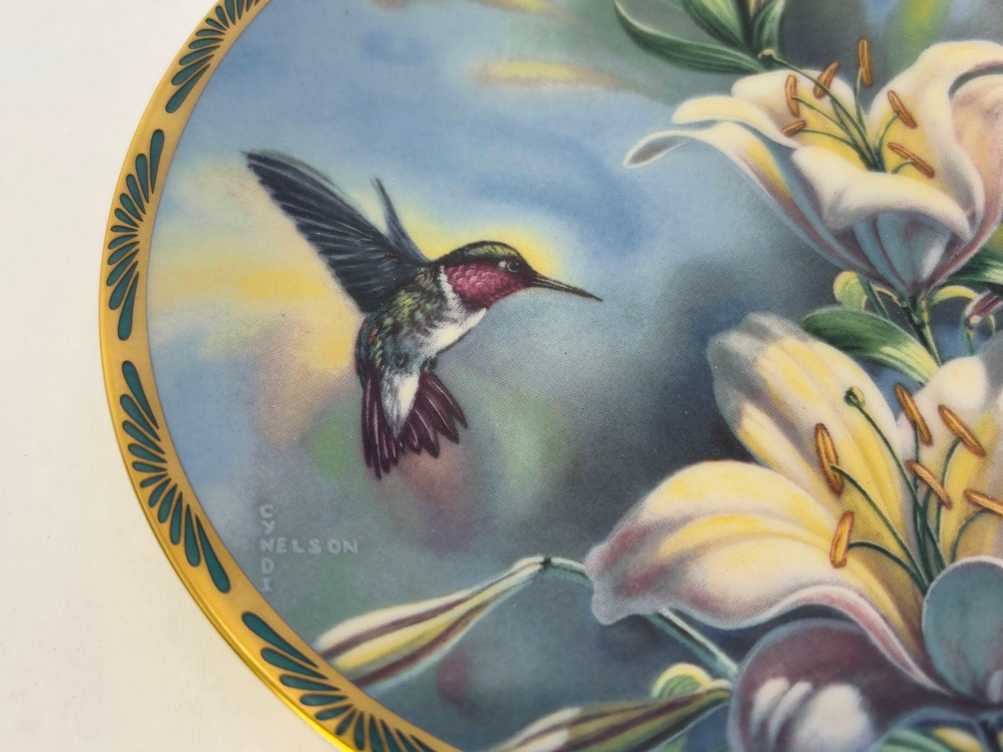 Gemme della Nature I bellissimi colibrì di Cyndi Nelson in vendita 2