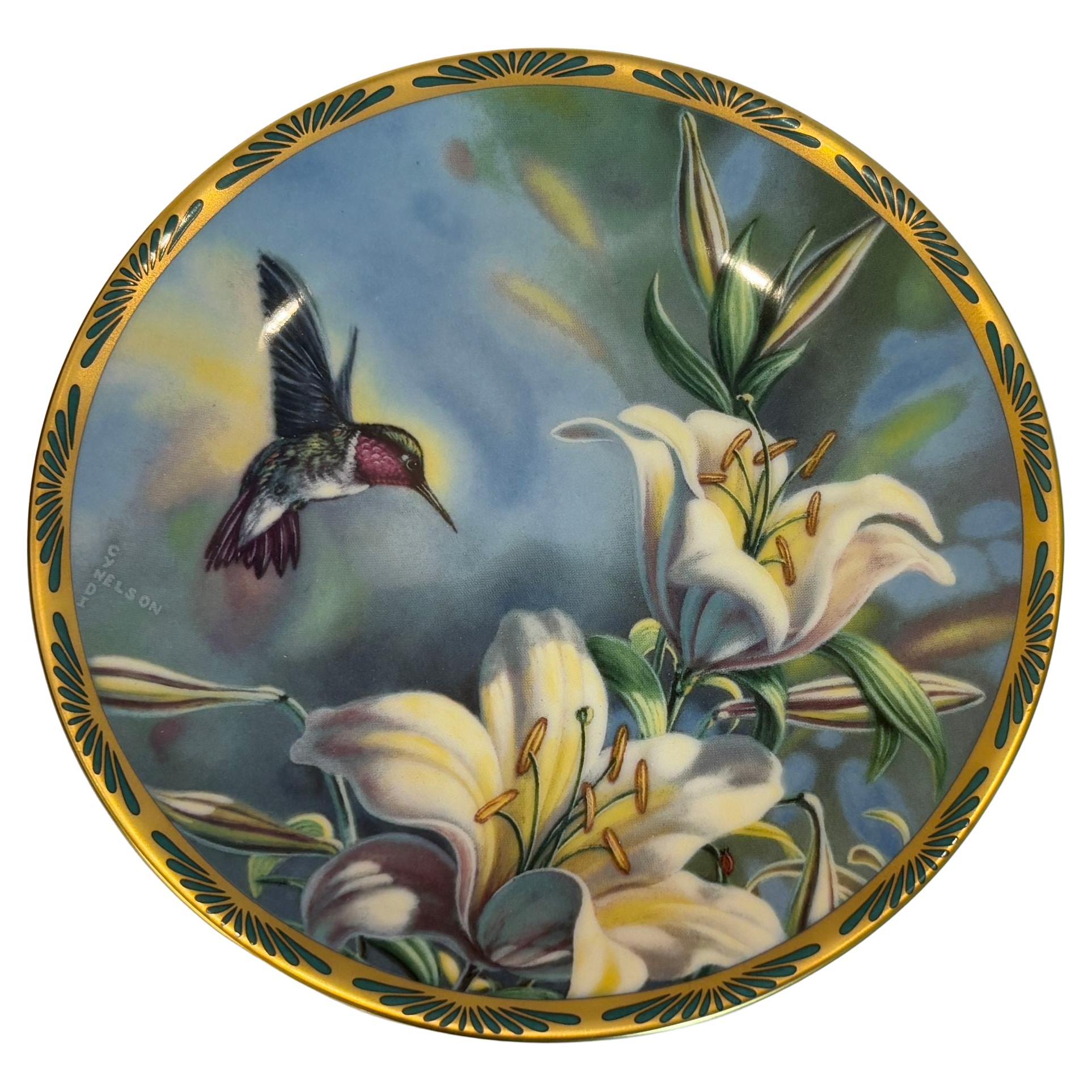 Gemme della Nature I bellissimi colibrì di Cyndi Nelson in vendita