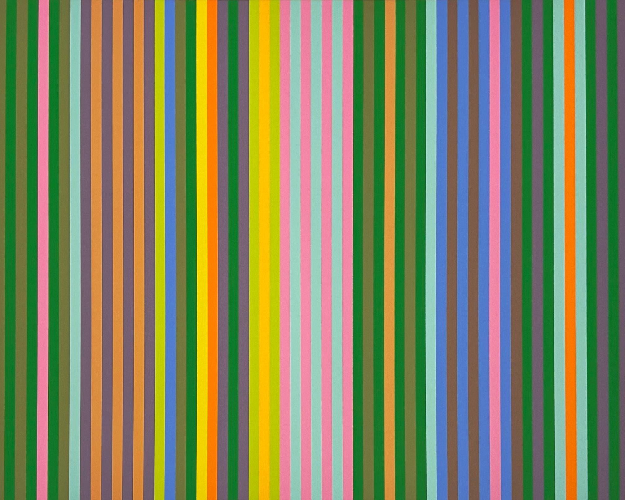 Zebra, dalla Serie II