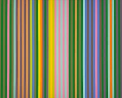 Zebra, dalla Serie II