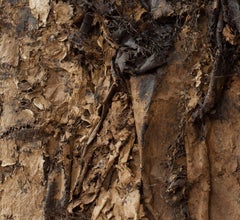 "Untitled" Gene Hedge, Abstract Composition, Dark Brown, Construction, Modernist