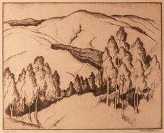 gene kloss for sale Coast Hills