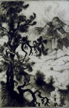 Gene Kloss Original Etching, 1981 - "Old Pinon Tree"