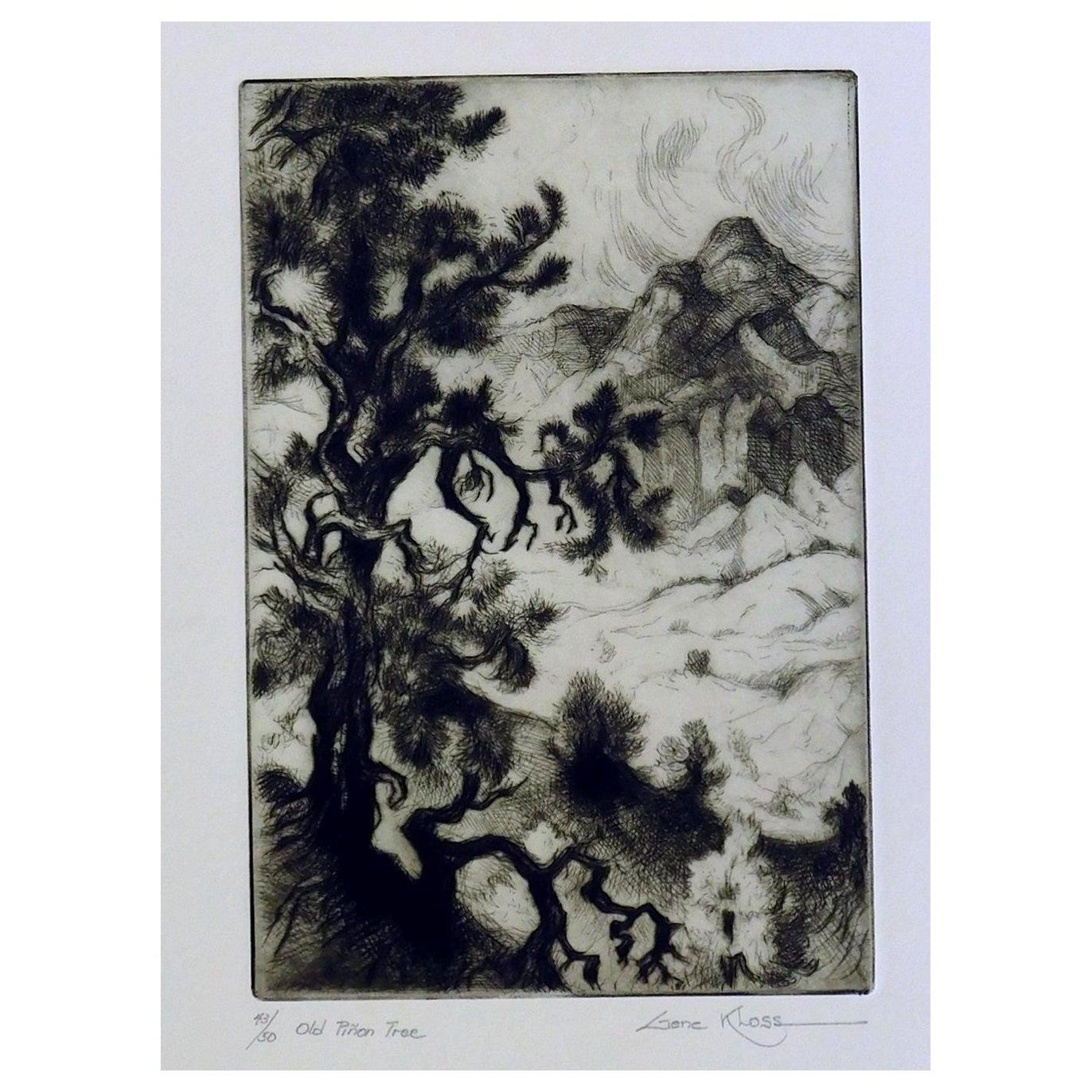 Etching & Drypoint on paper by famous Taos Artist Gene Kloss (1903-1996).
Titled: “Old Pinon Tree.” Pencil signed lower right and in excellent condition.
Image measures: 8" H x 6" W. Sheet size is: 17 5/8"H x 14 3/8"W.
Unframed. Archivally matted in