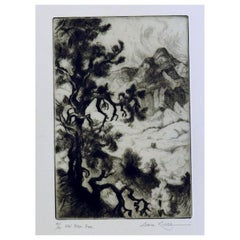 Gene Kloss Original Etching, 1981 - "Old Pinon Tree"