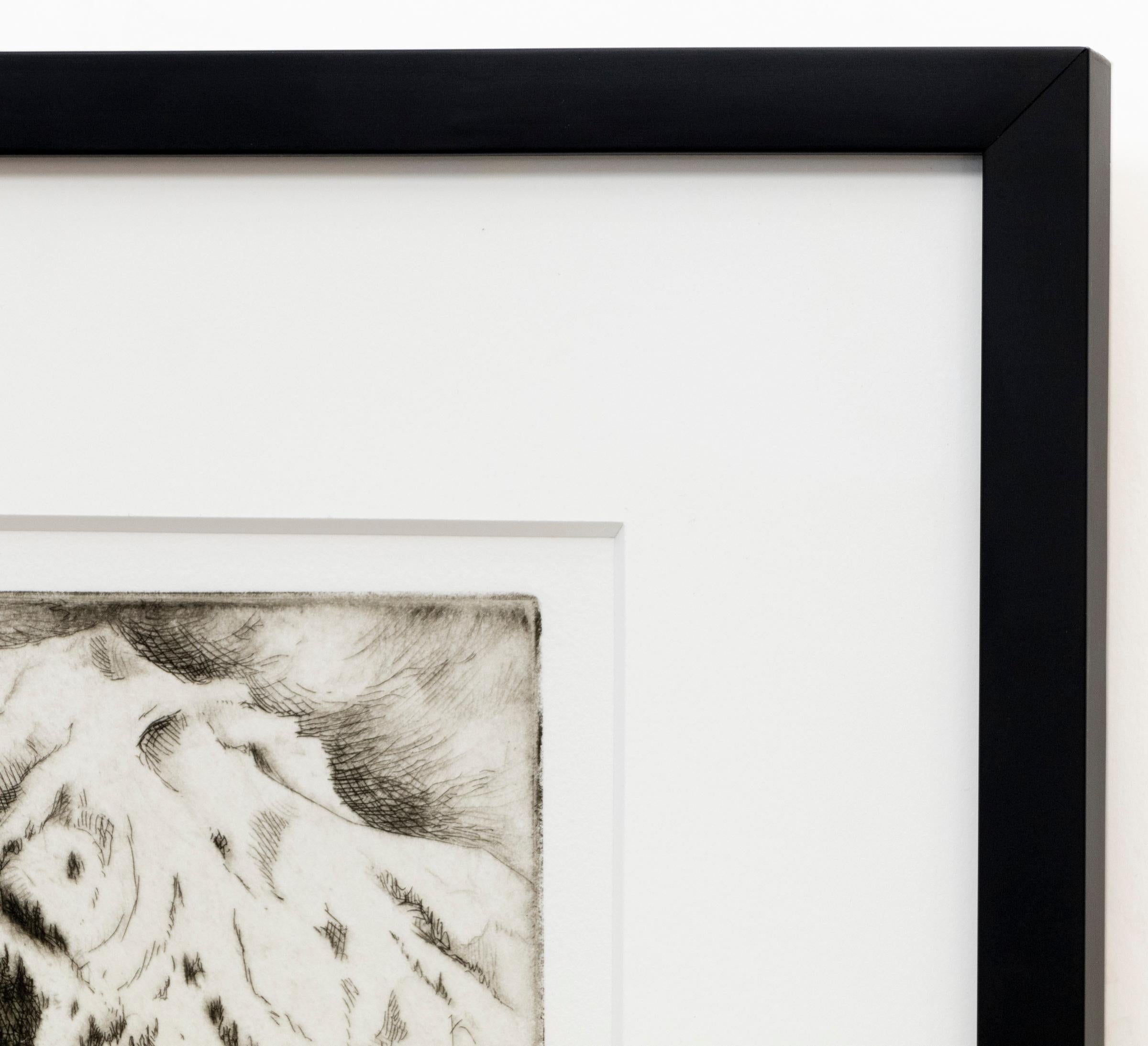 Reliquia de la Montaña Roja (Vista de la Montaña Roja, Colorado), Impresión en blanco y negro firmada en venta 1