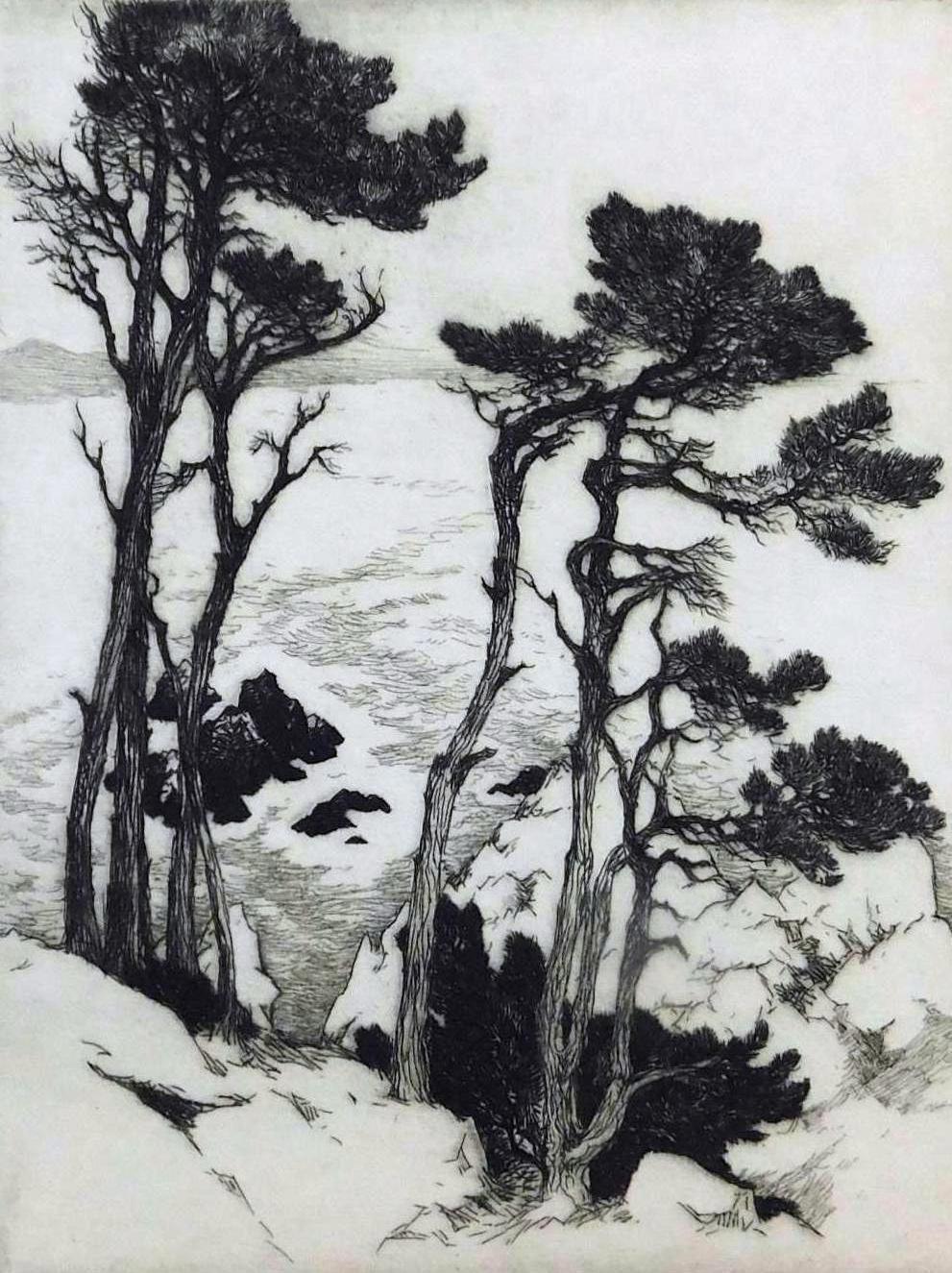 Original-Radierung von Gene Kloss, 1938 – „Pines at Point Lobos“   (Mitte des 20. Jahrhunderts) im Angebot