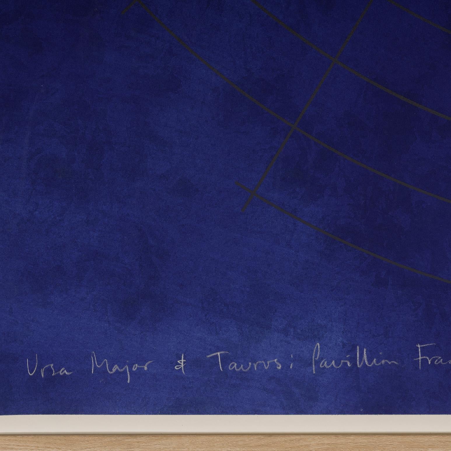 Ursa Major & Taurus: Pavillon-Fragmente aus dem Sternengewölbe im Angebot 5