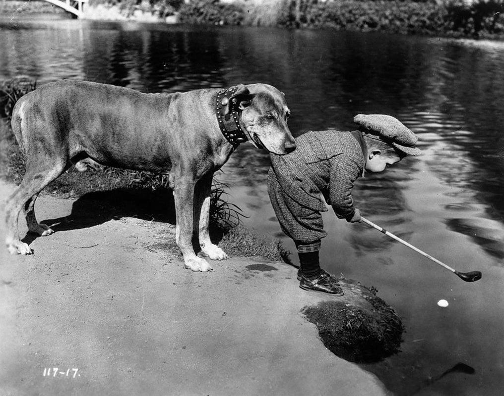 "Helpful Dog" by General Photographic Agency

Teddy the Dog holds onto child actor Jackie Lucas (1919 - 1983) by the tail of his golfing jacket as he tries to play a ball, which is floating in a river. A publicity still for the unreleased Mack